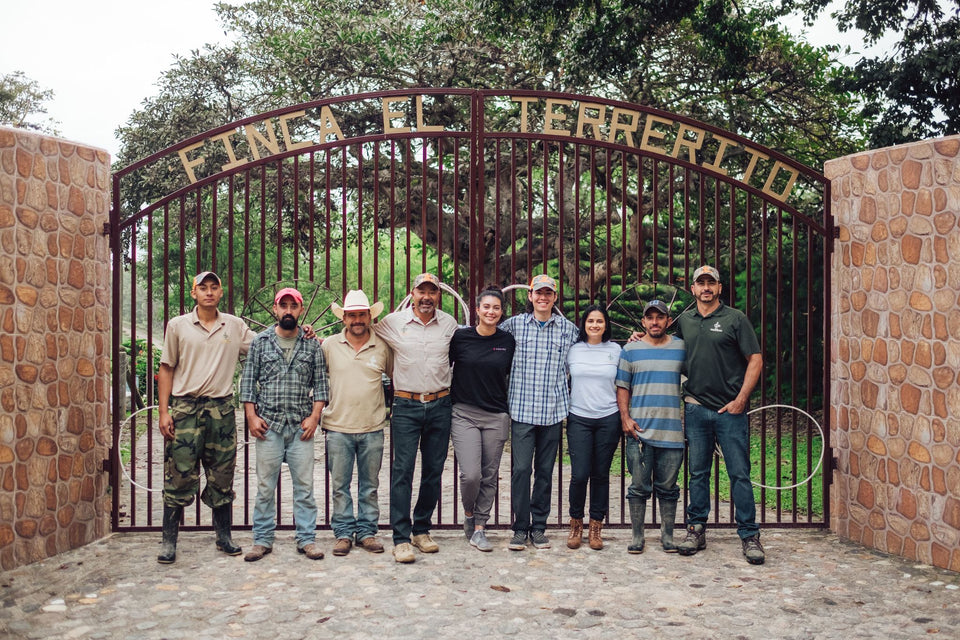Honduras: Washed