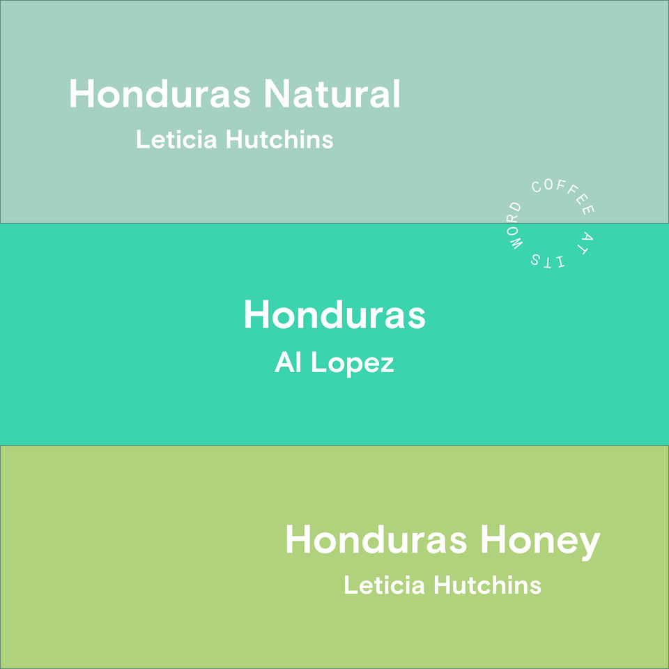 Honduras: A Journey Through Processing